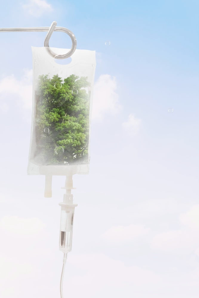 A IV drip bag with a small green tree inside symbolizing health and wellness at The Wellness Drip INC, a MA wellness clinic specializing in ketamine therapy, vitamin infusions, and holistic treatments.