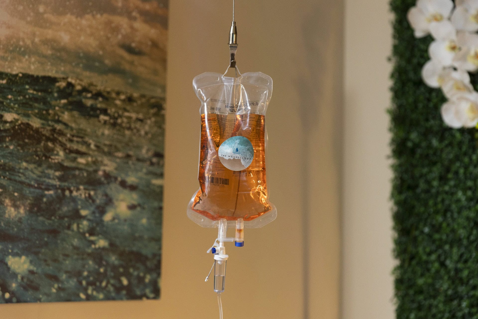 IV infusion bag for wellness and hydration therapy at The Wellness Drip INC in Holyoke, MA.