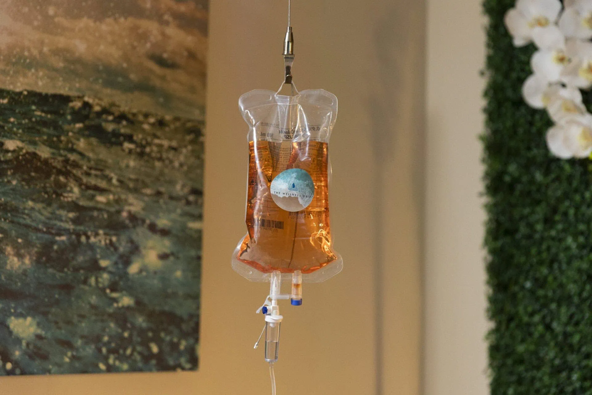 IV infusion bag for wellness and hydration therapy at The Wellness Drip INC in Holyoke, MA.