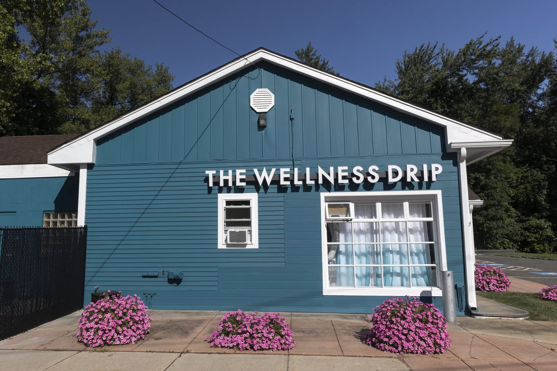 Bright blue building with "The Wellness Drip" signage, surrounded by pink flowers, offering IV therapy and wellness services at Holyoke location.